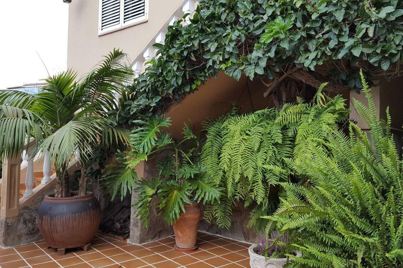 Orotava Garden House Perfect For Families Βίλα La Orotava Εξωτερικό φωτογραφία