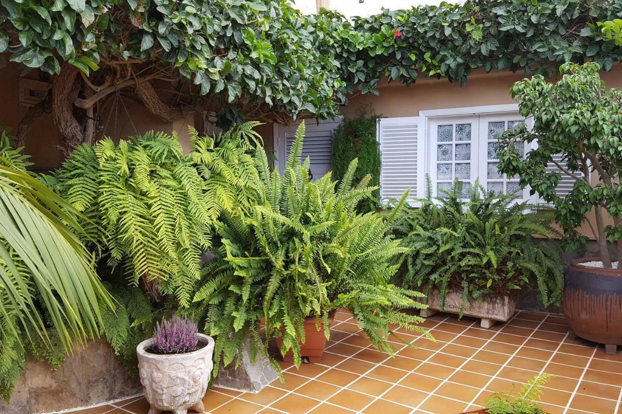 Orotava Garden House Perfect For Families Βίλα La Orotava Εξωτερικό φωτογραφία